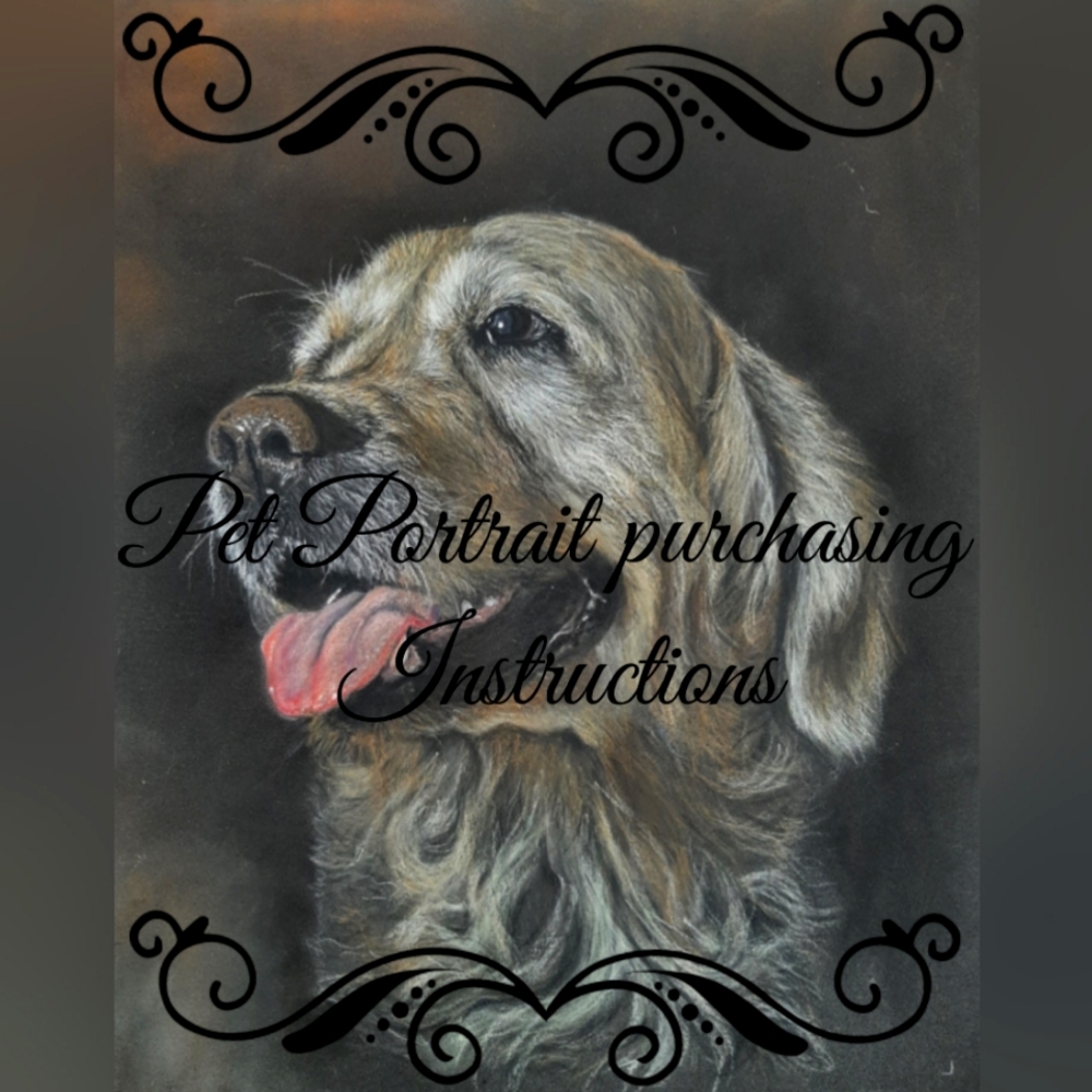 Pet portrait commission instructions.